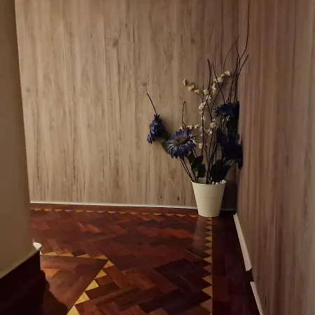 Mini In Vandrerhjem *